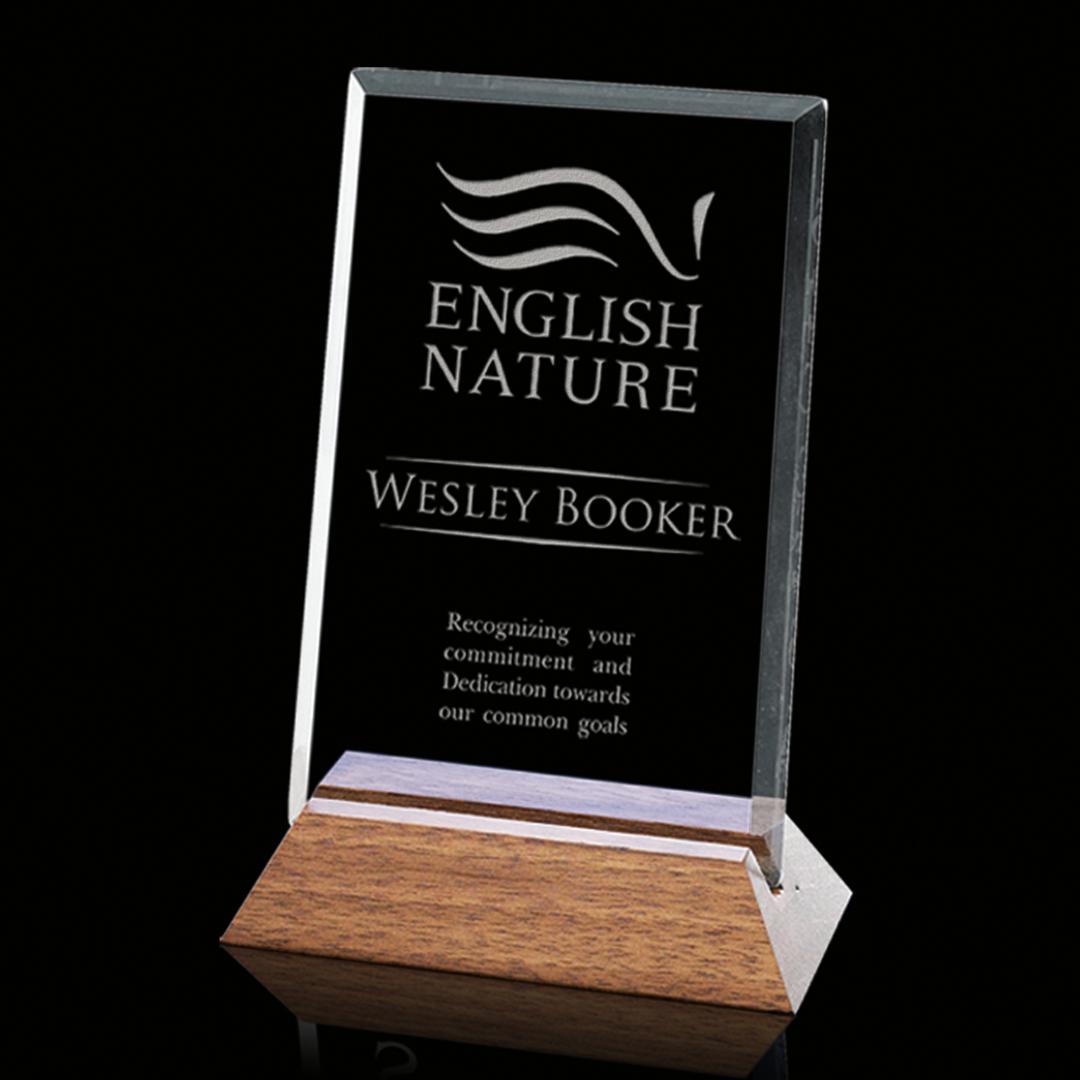 Esten Award - Starfire/Walnut 11