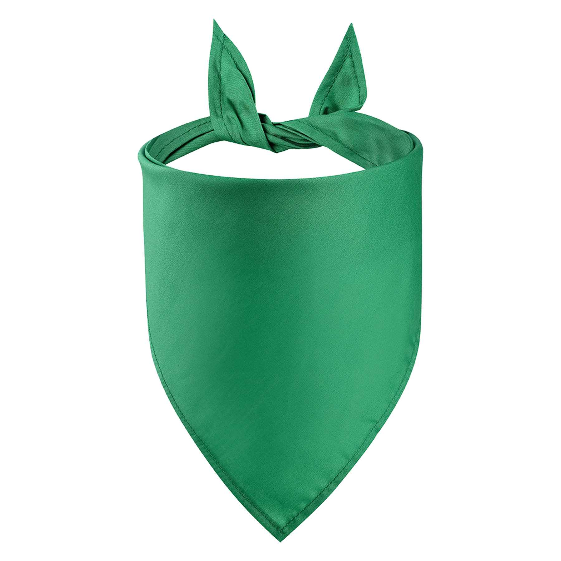Pet Bandanna 1