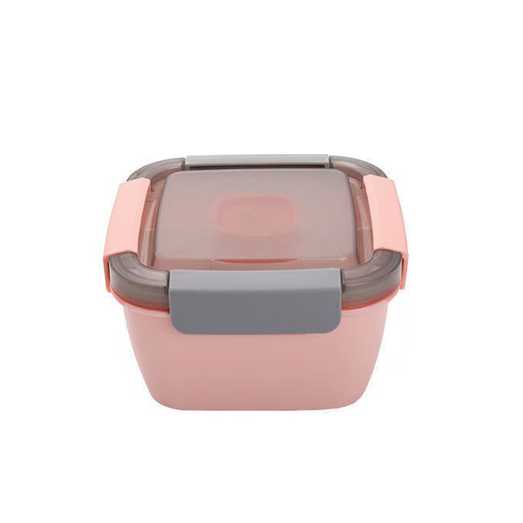 2 Layer Bento Box With Sauce Container 4