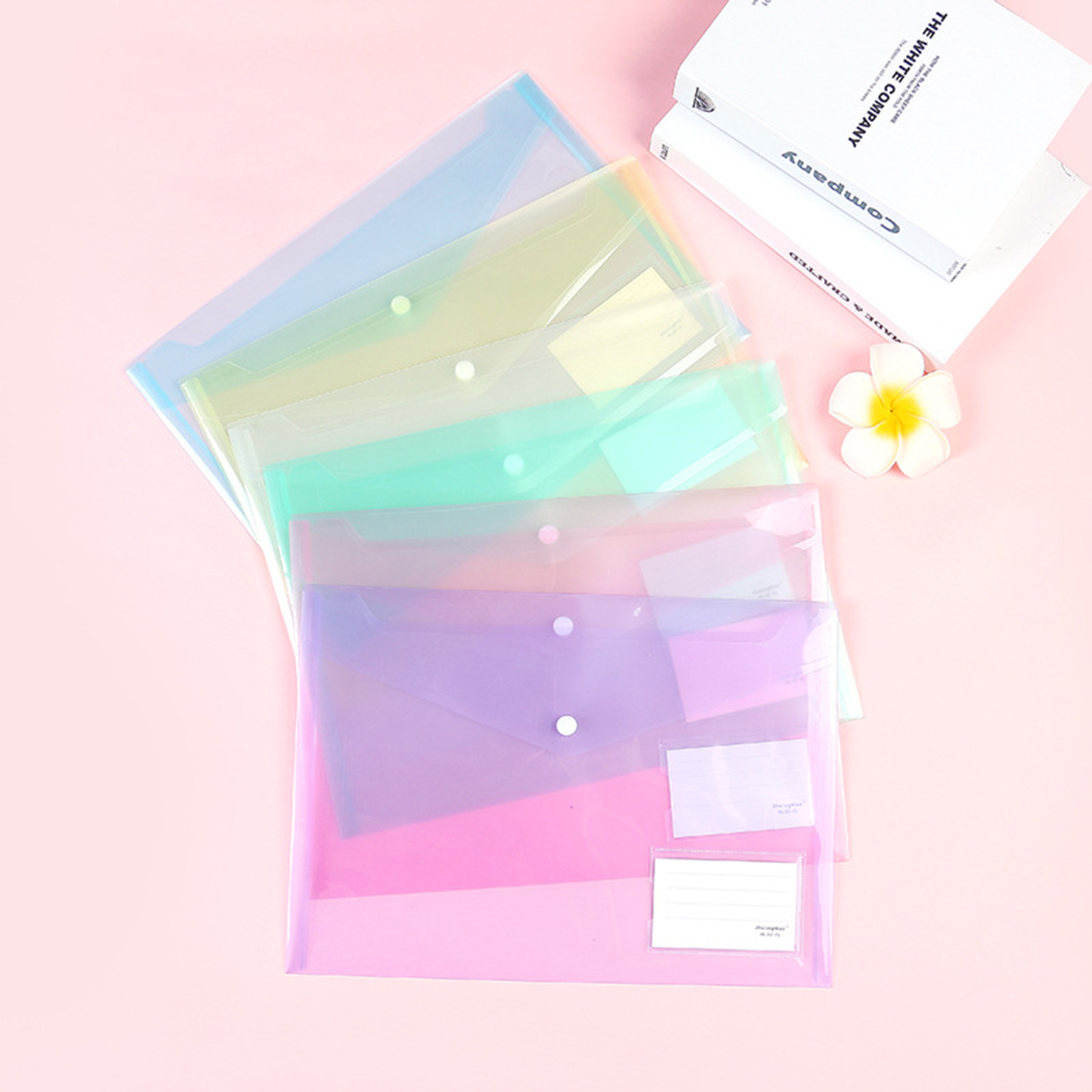 A4 File Folder 2