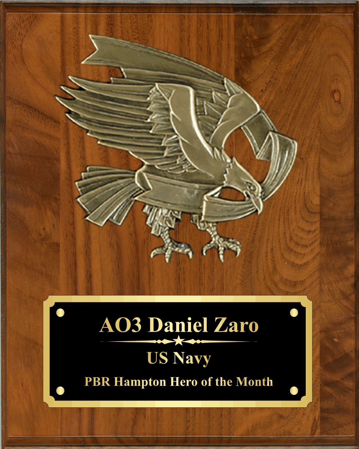 Plaque with Cast Bronze Eagle Mount 6