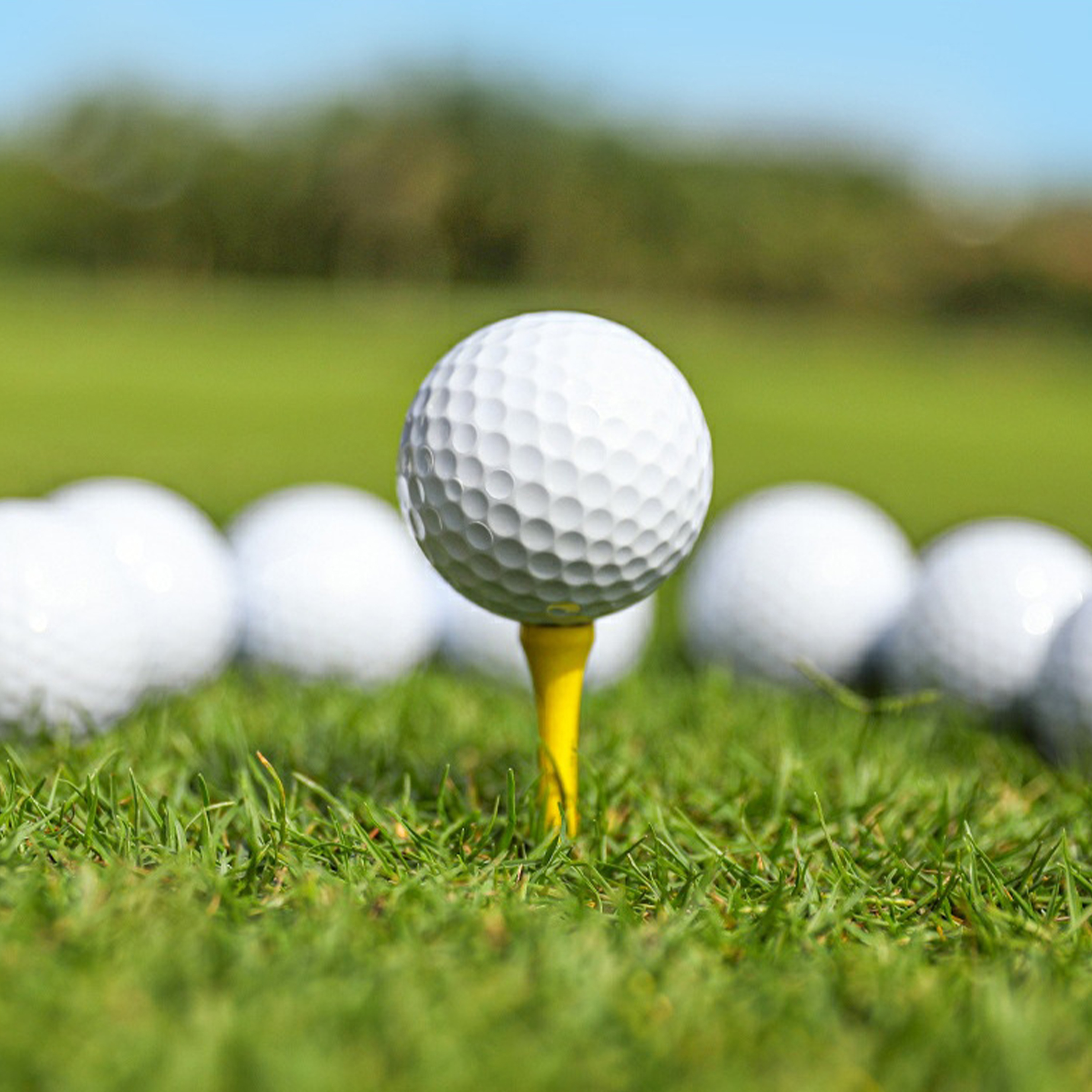 Rubber Customizable Golf Practice Balls 7