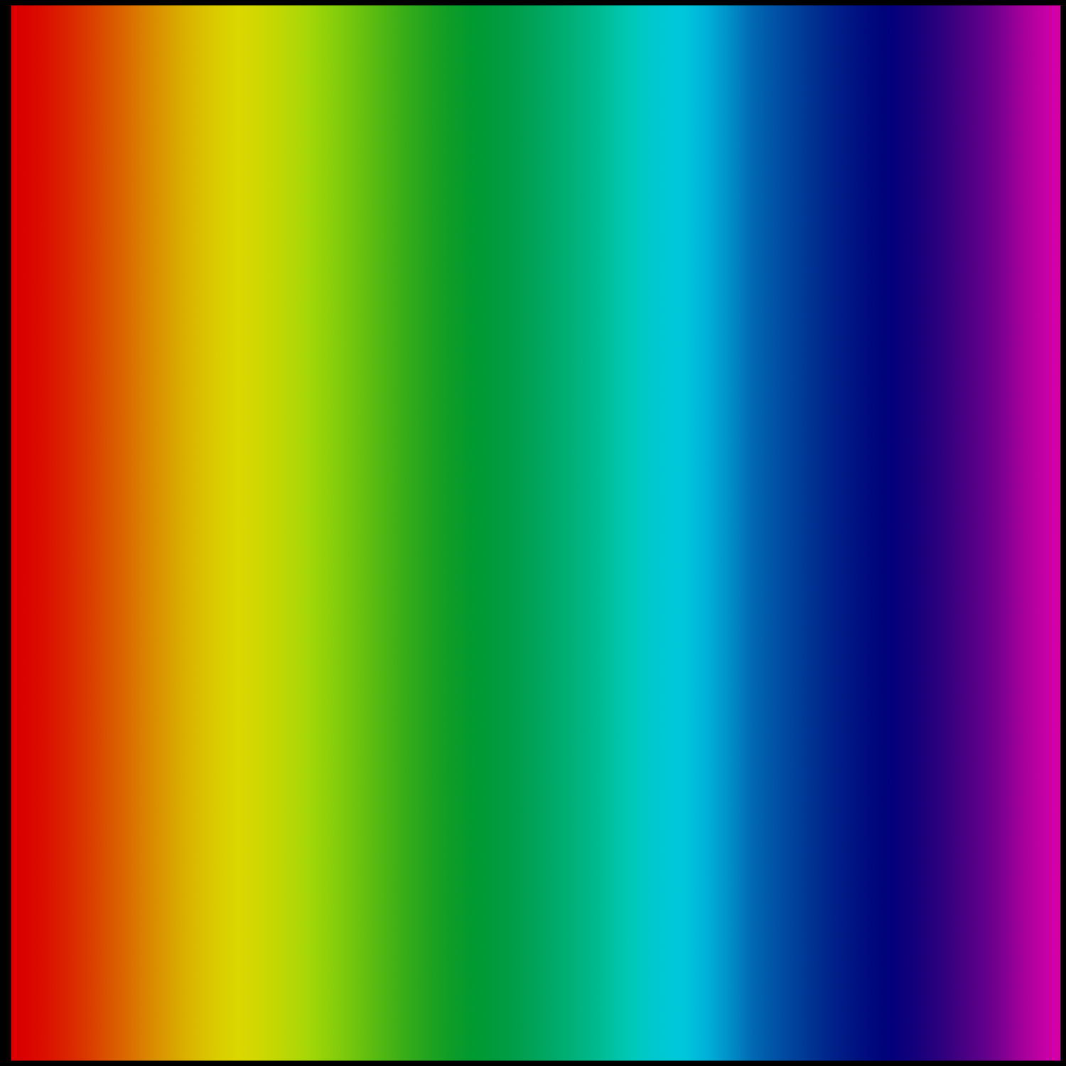 Yucca 4