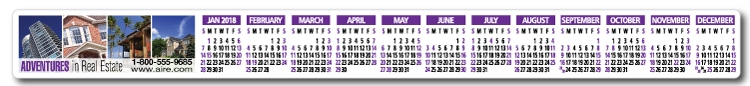 Year-at-a-Glance Full Color Plastic Strip Calendar 1