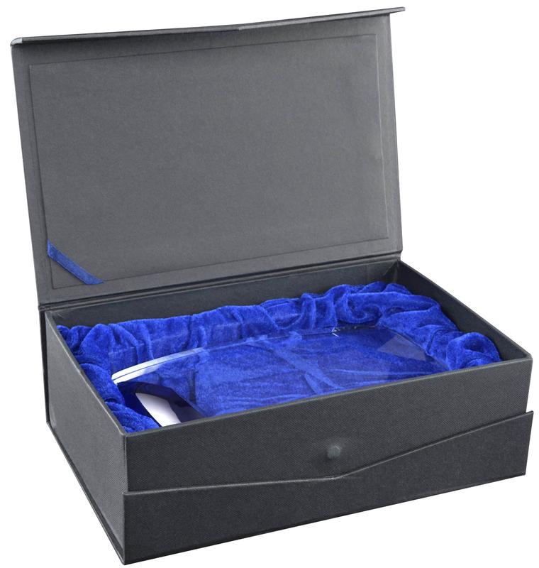 Large Ovation Award 1