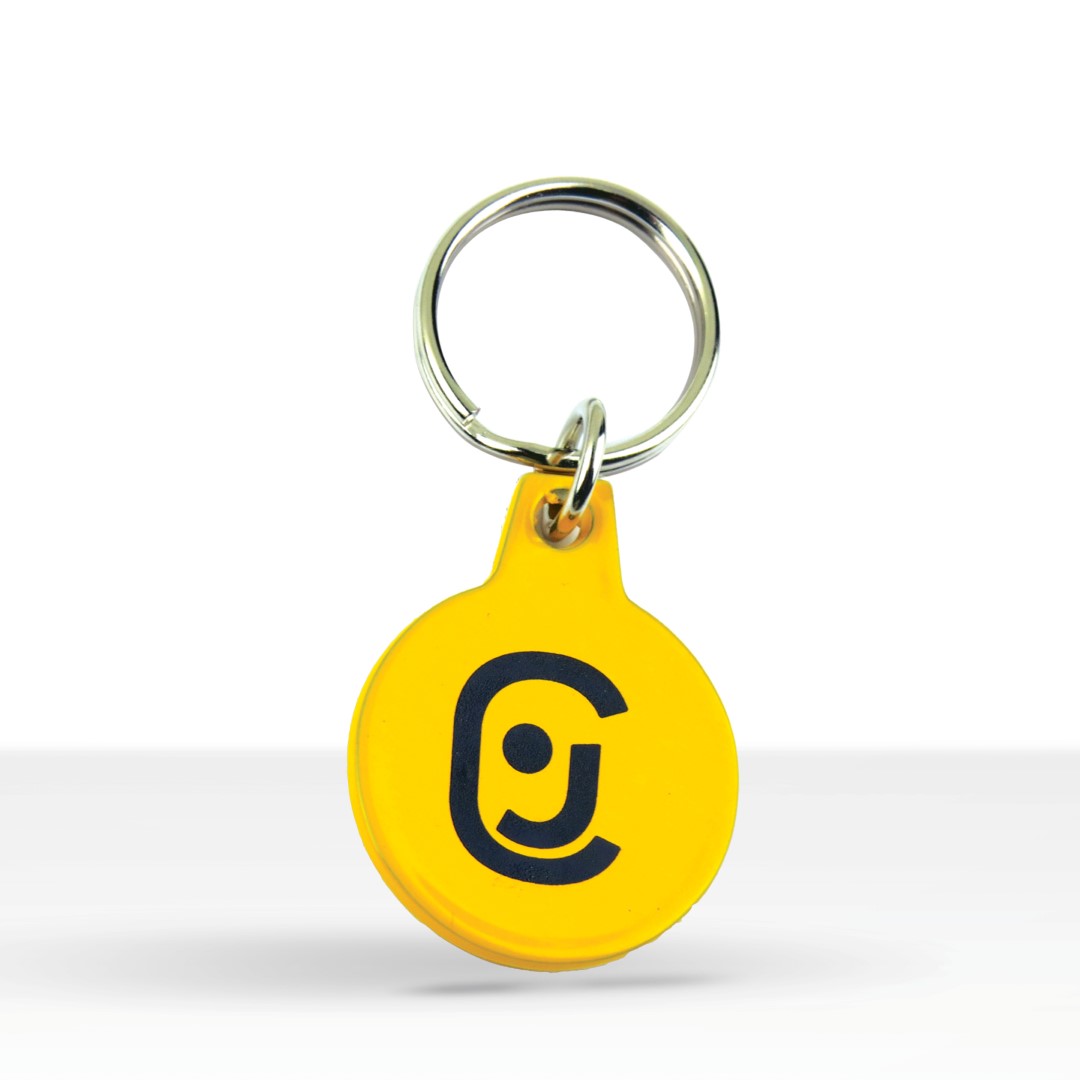 Custom Shape Colorized Key Chain 1