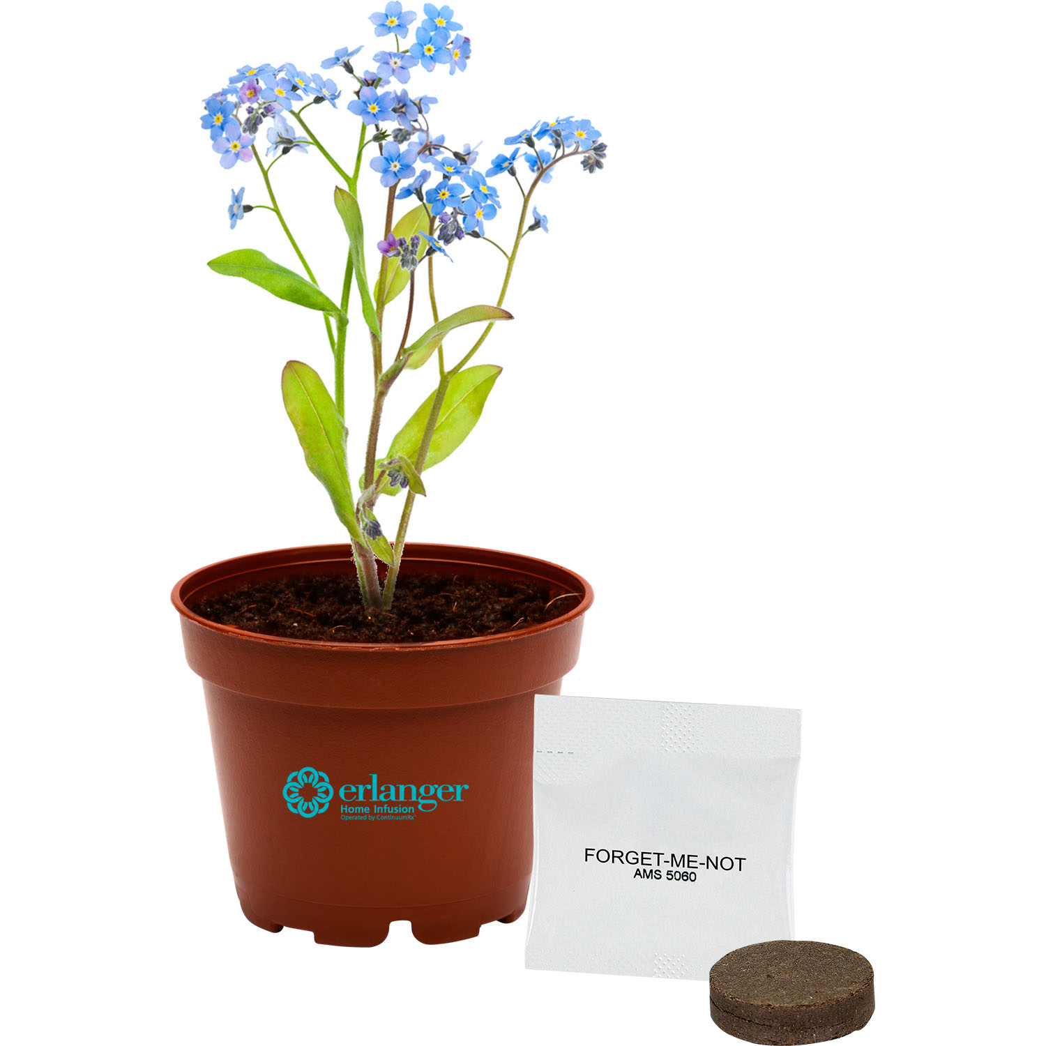 Terra Cottta Petite Planter Kit 4