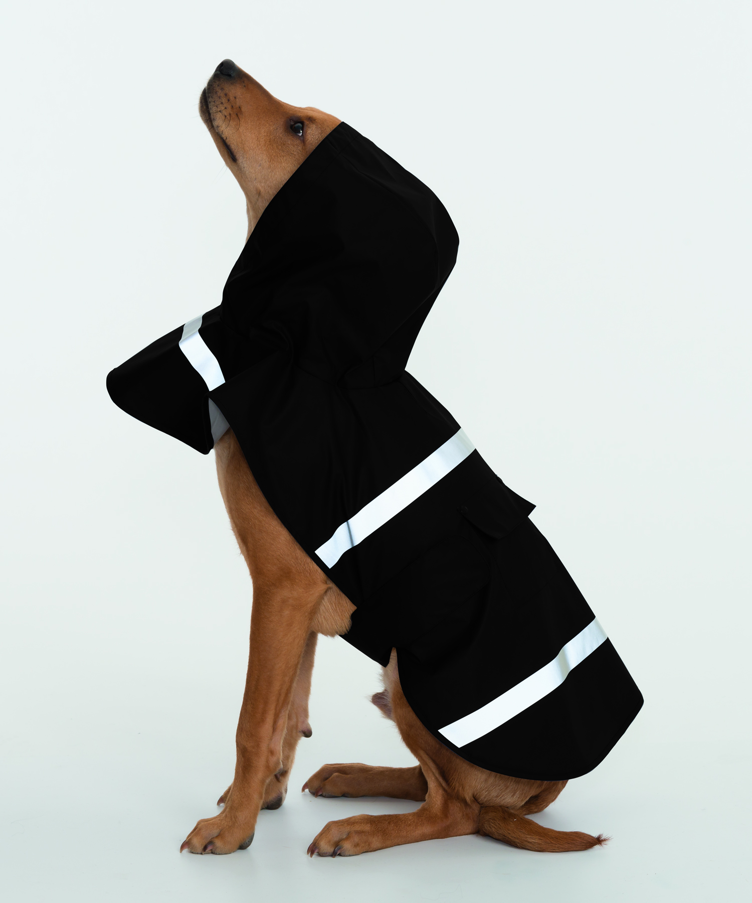 New Englander® Doggie Rain Jacket 13
