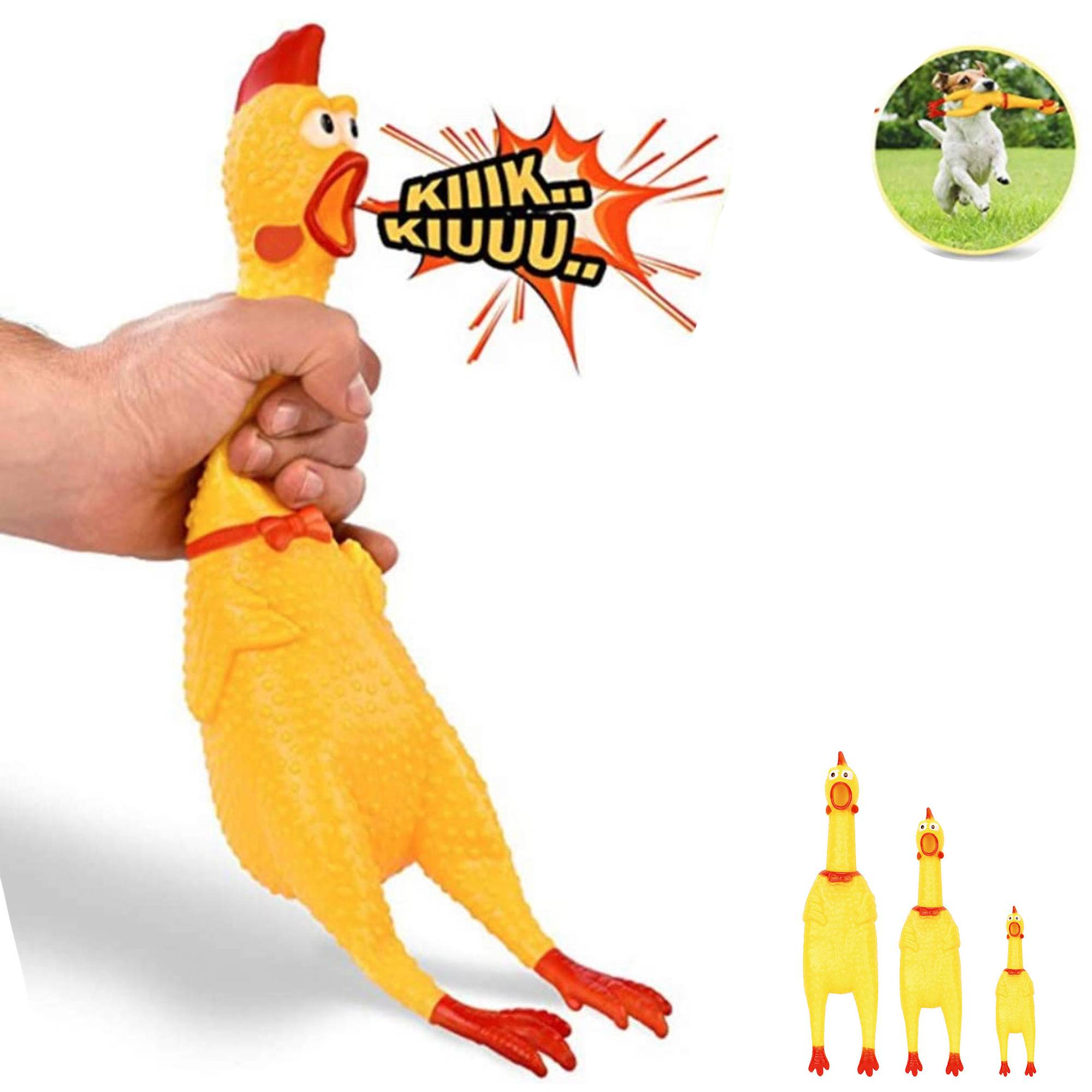 SqueezeyRubber chicken toy