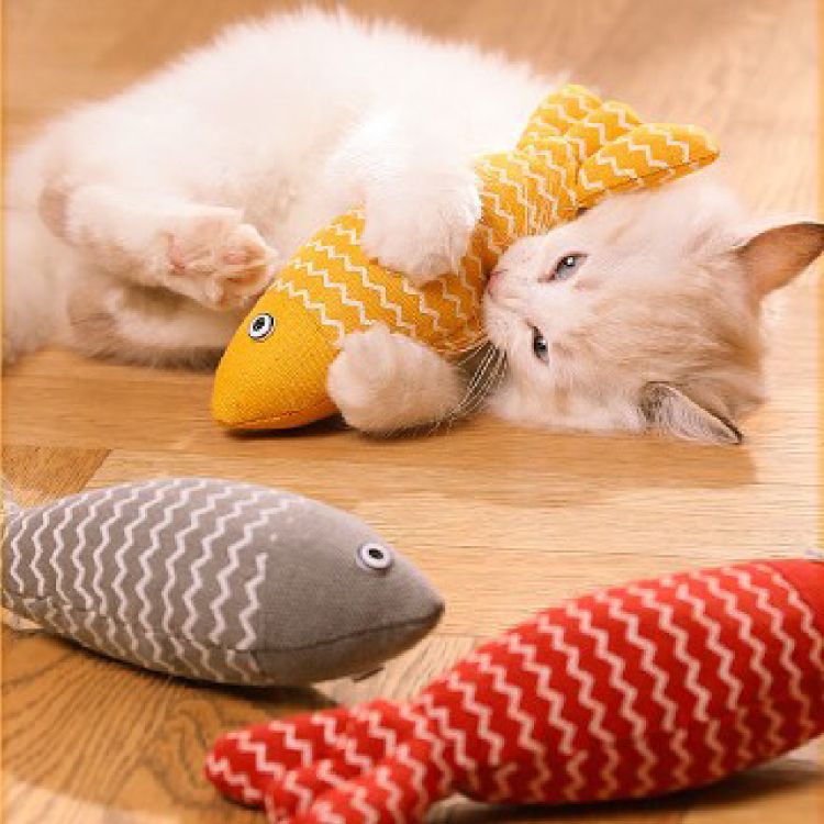 Cat Toys Fish 3