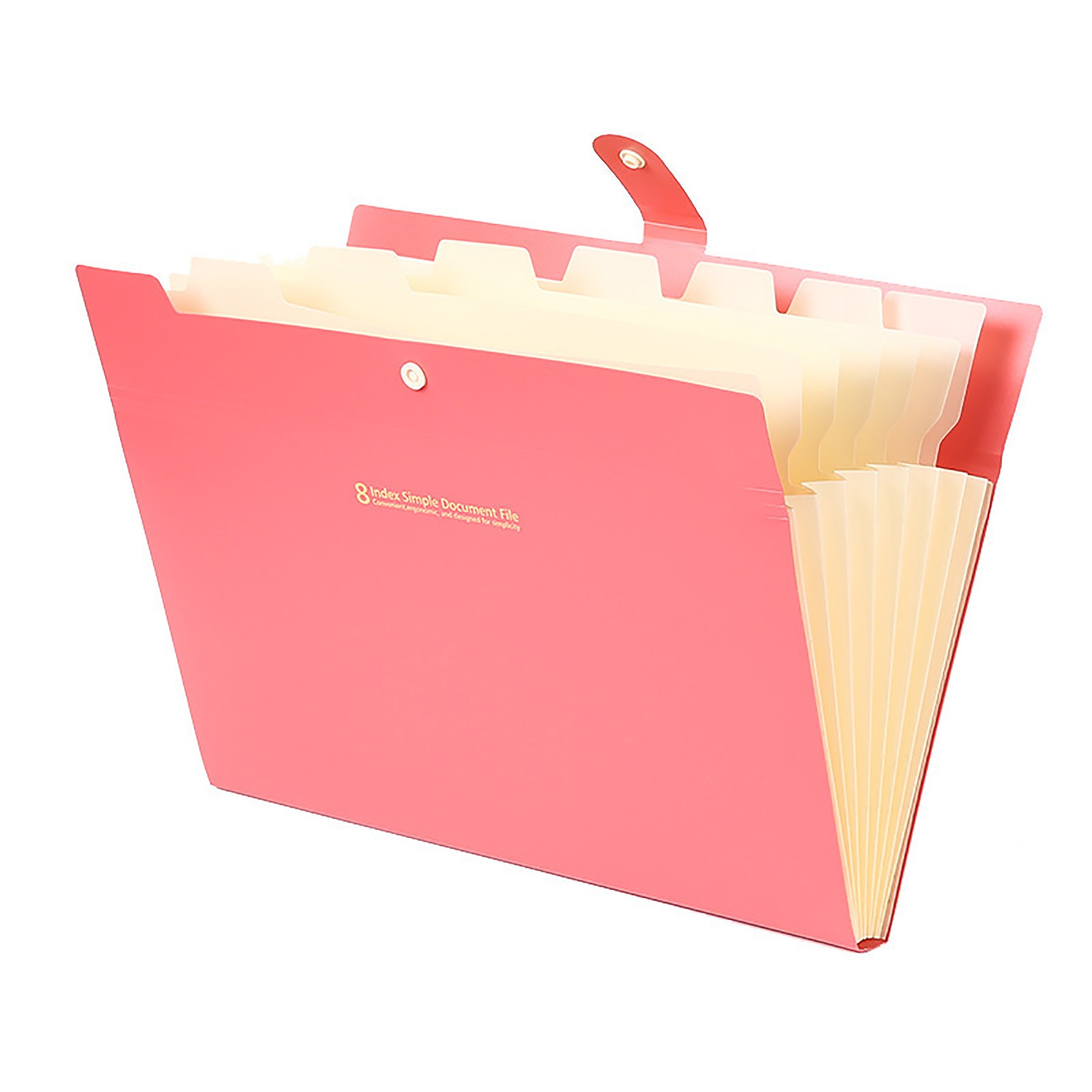 8 Pocket Expandable File Storage Bag 7