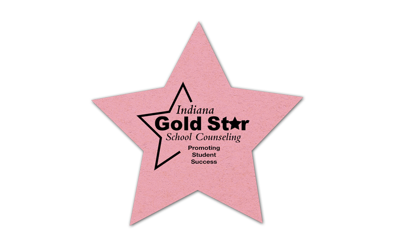 Star Compressed Sponge 4ST 3