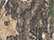Licensed Camo Cap - LC10 5