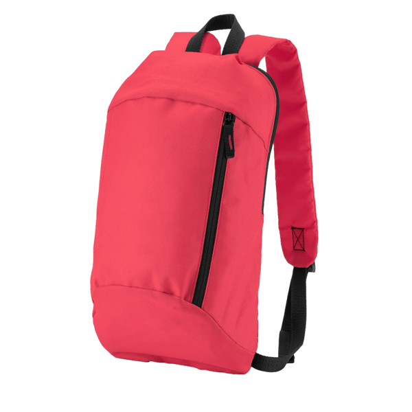 Budget Backpack 50