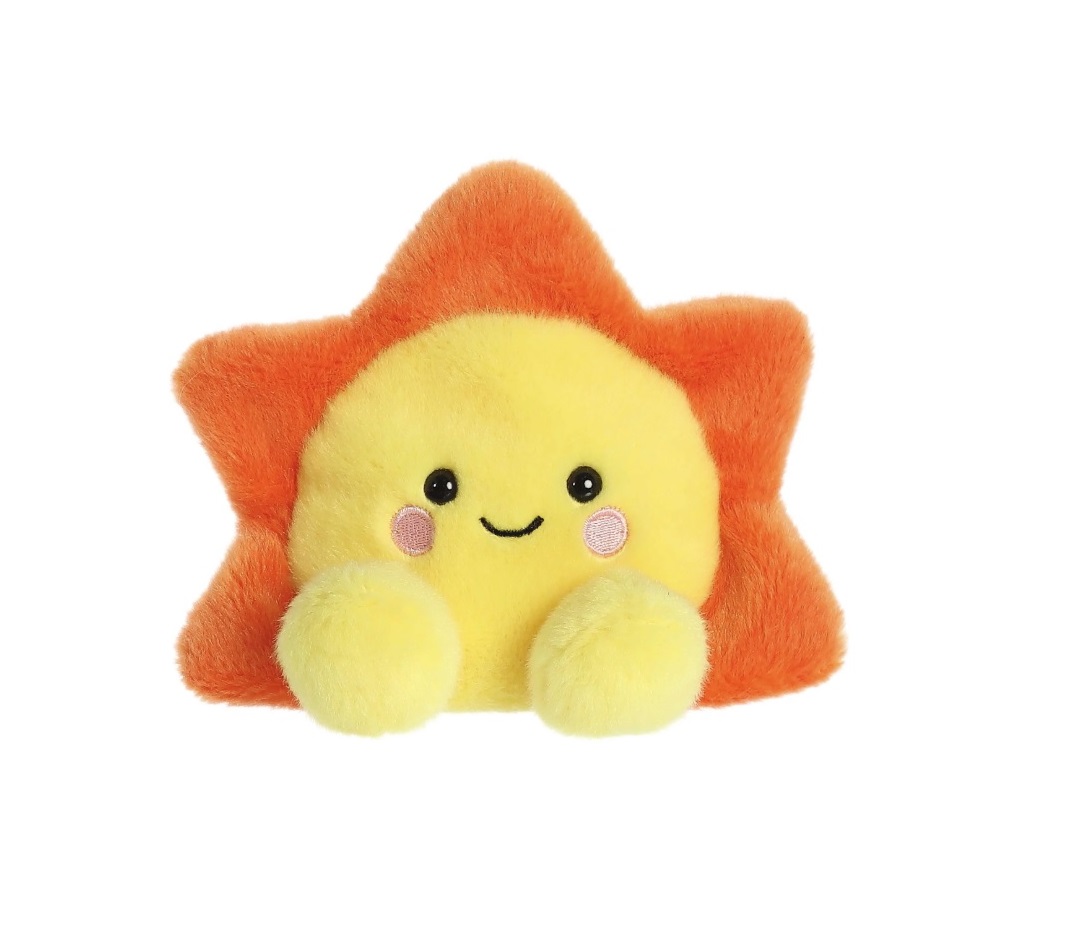 5" Bean Bag Sun 2
