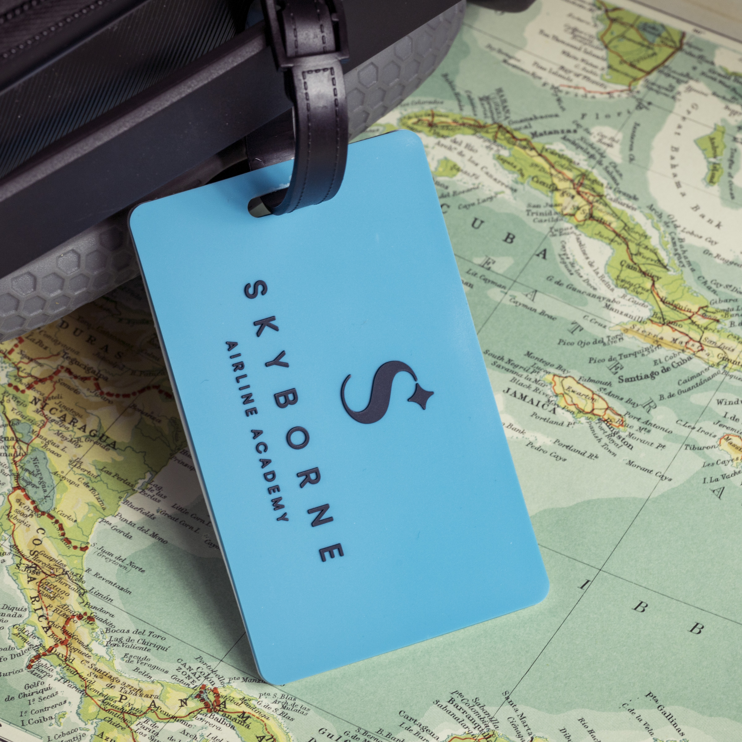 Custom PVC Luggage Tags (Write-on Back) 17