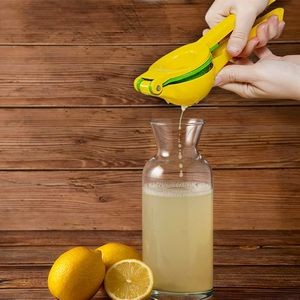 Stainless Steel Bowl Juice Squeezer 16