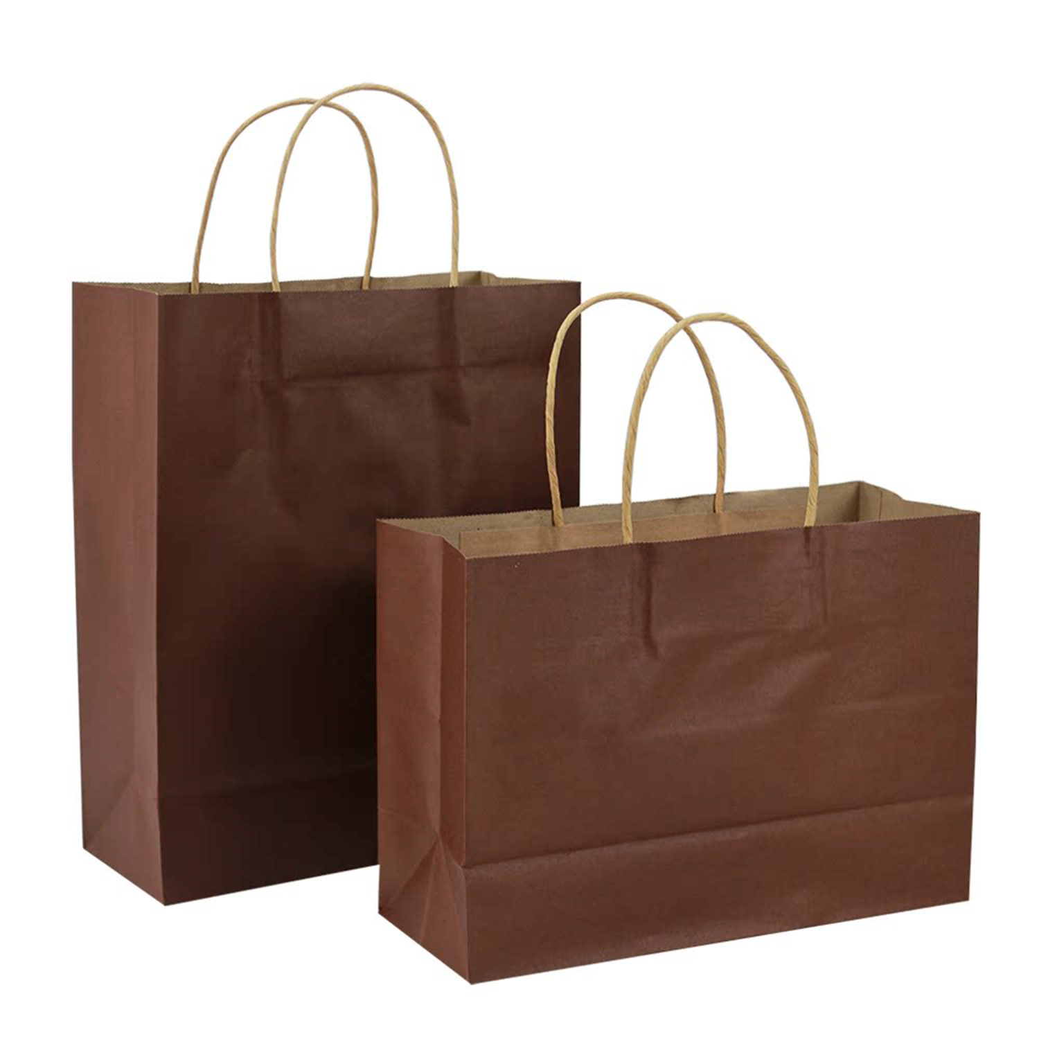 Paper Shopping Bag 2