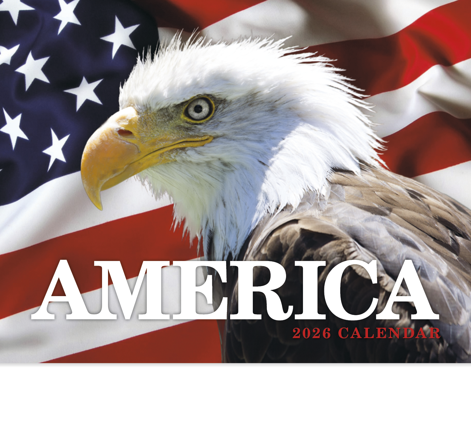 HotLine® Products America Appointment Calendar - Stapled 9