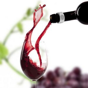 Stylish Dual Ring Shaped Wine Drip Stopper Collar 16