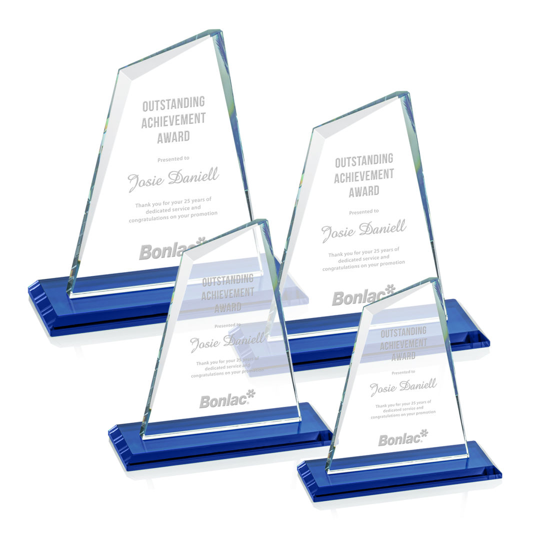Summit Award - Blue 4