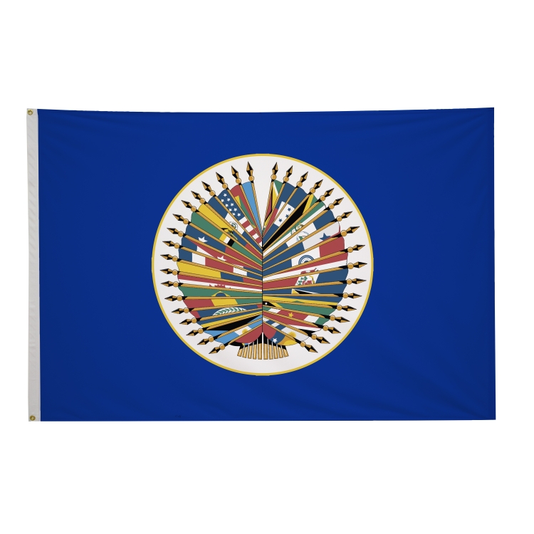 4' x 6' International Flags 224