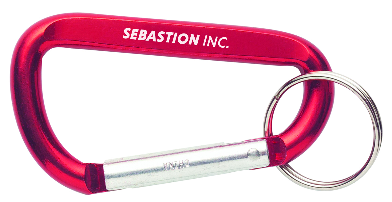 Carabiners With Keyring