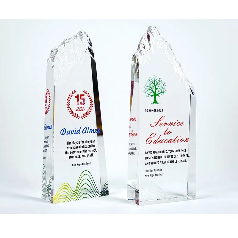 Recognition Crystal Iceberg Award 3