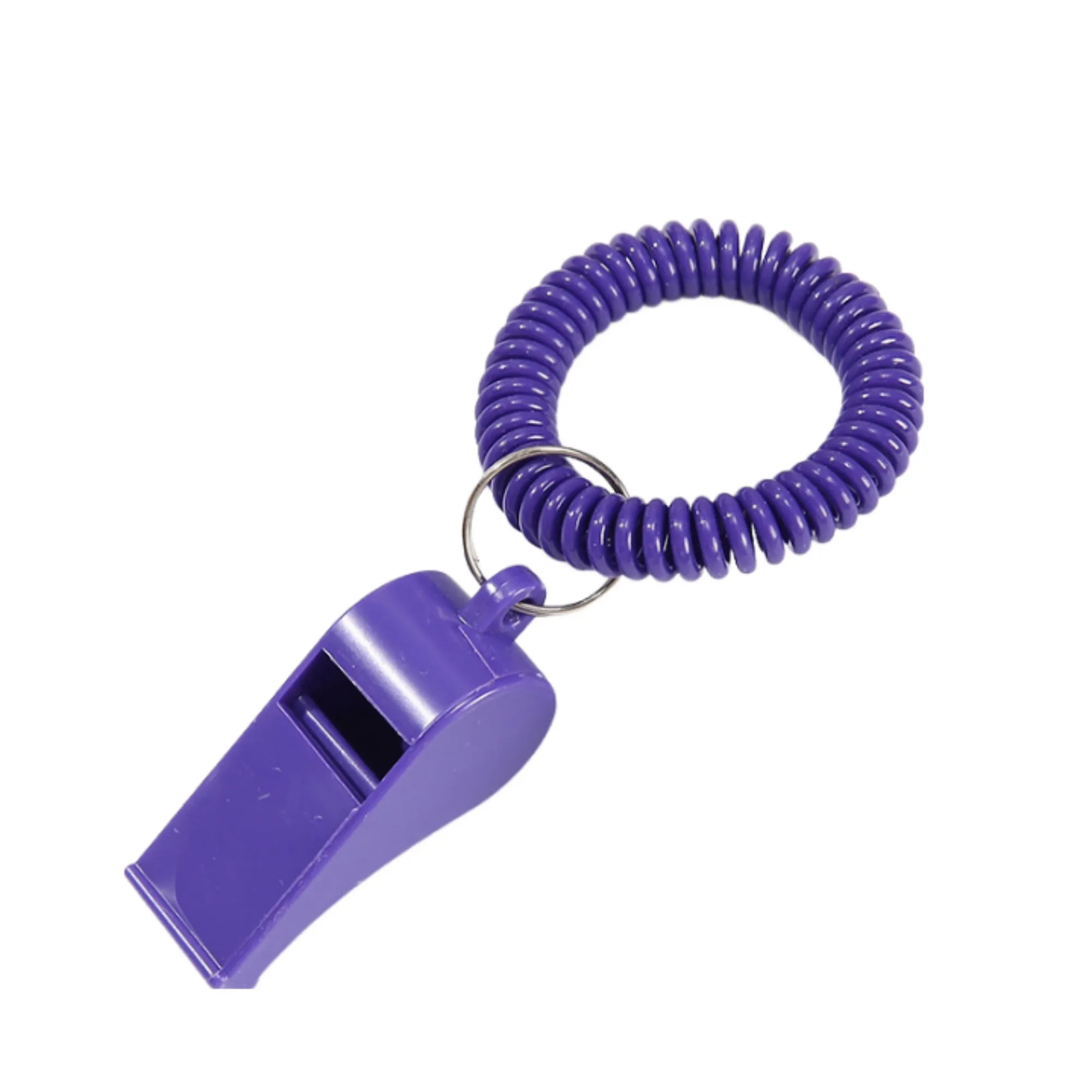 Whistle Spring Coil 1