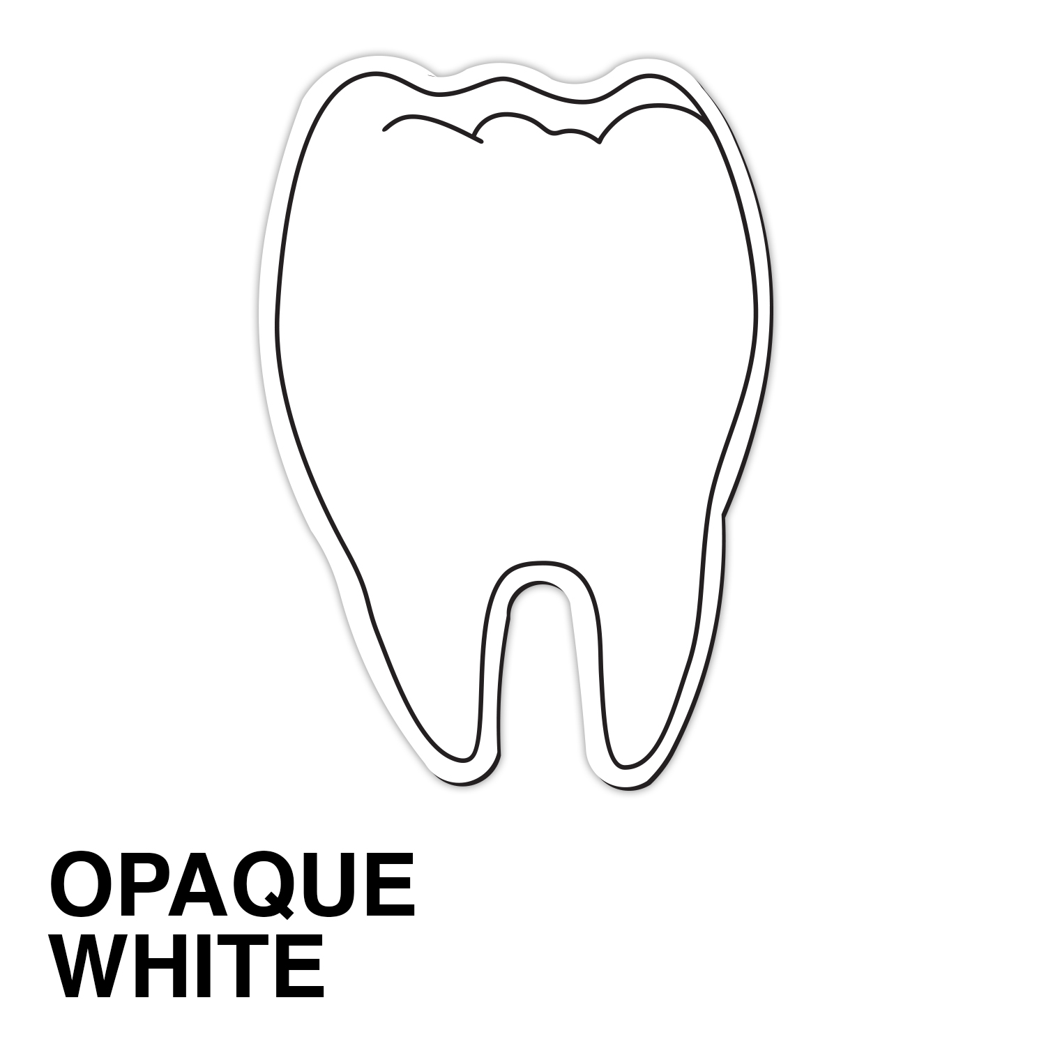 Tooth Magnet - Full Color 1