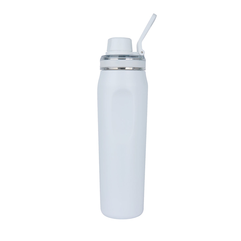 Dominic 22 oz. Double Wall Stainless Steel Water Bottle 37
