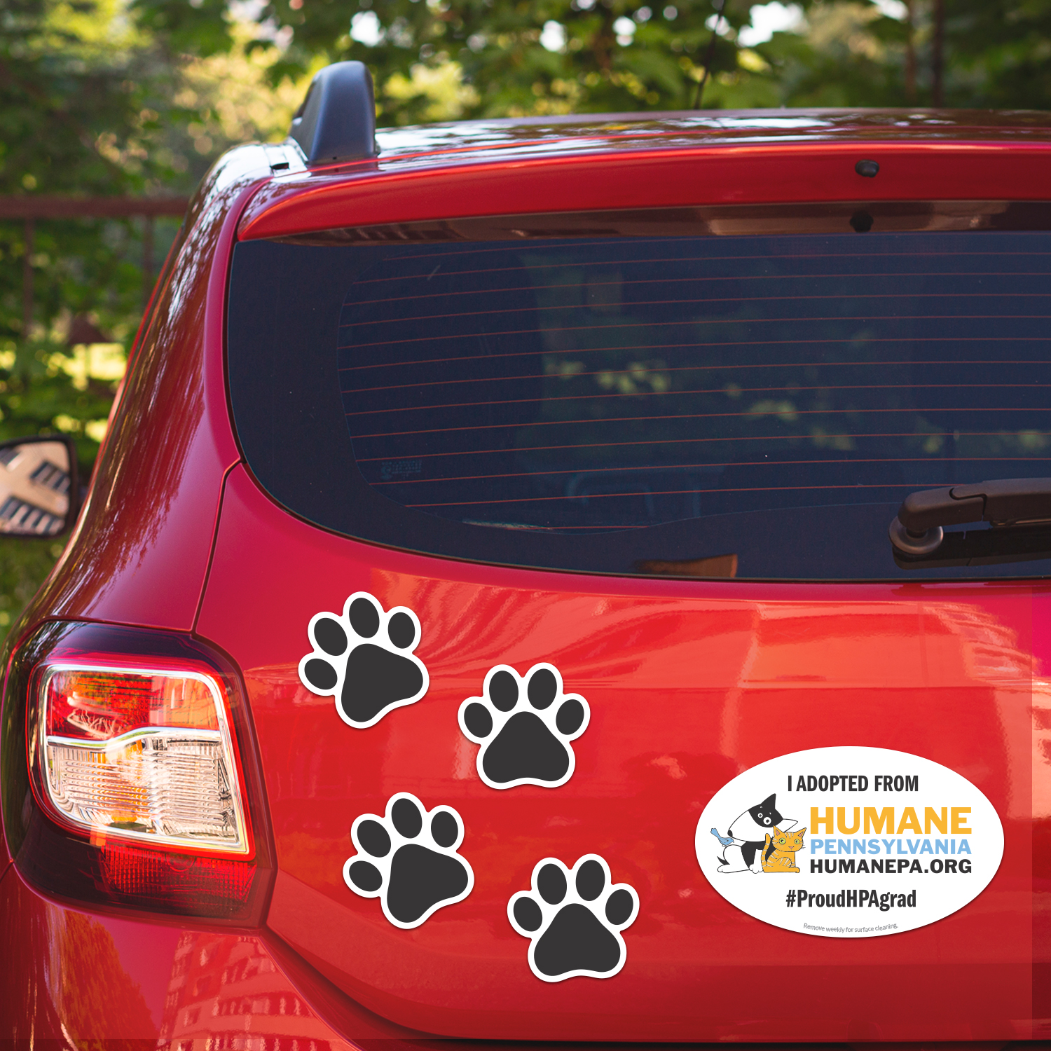 2 in 1 Oval Car Magnet with 4 Paw Prints 2