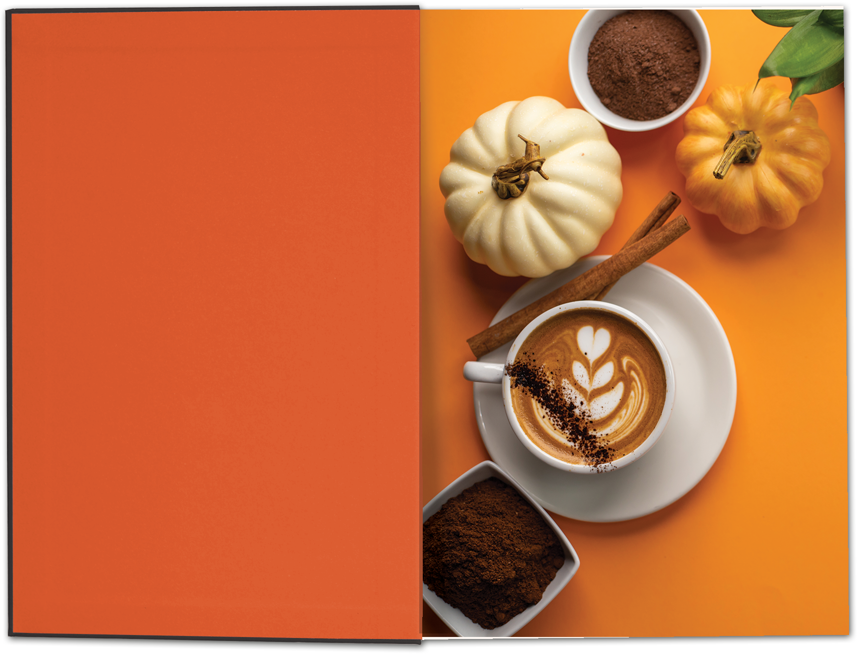ColorPop™ Journal - w/ Tip-in 2