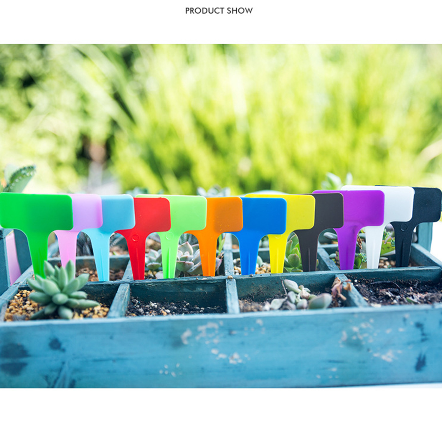 Plastic T-shape Horticultural Flower Plant Label 2