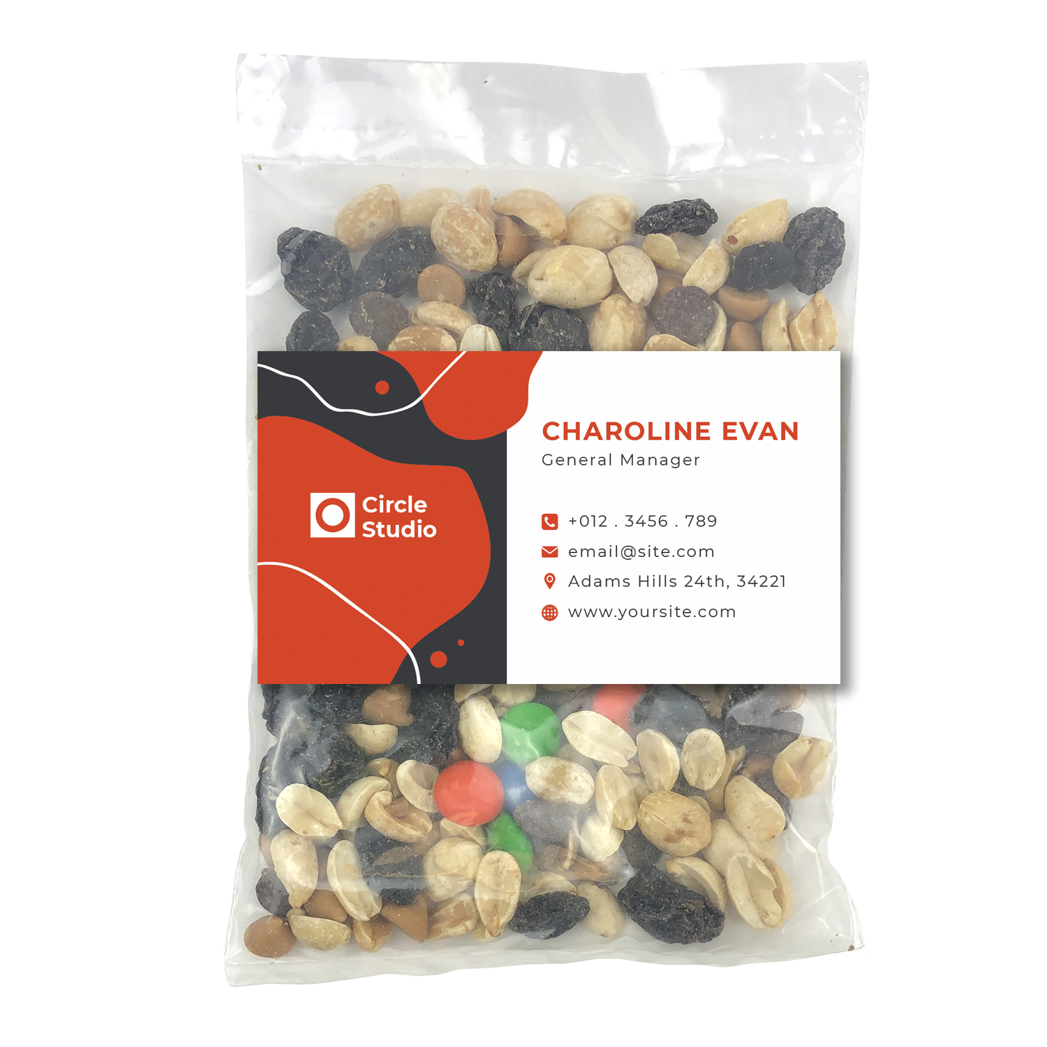 Large Snack Bag with Rectangle Magnet Standard Fill 15