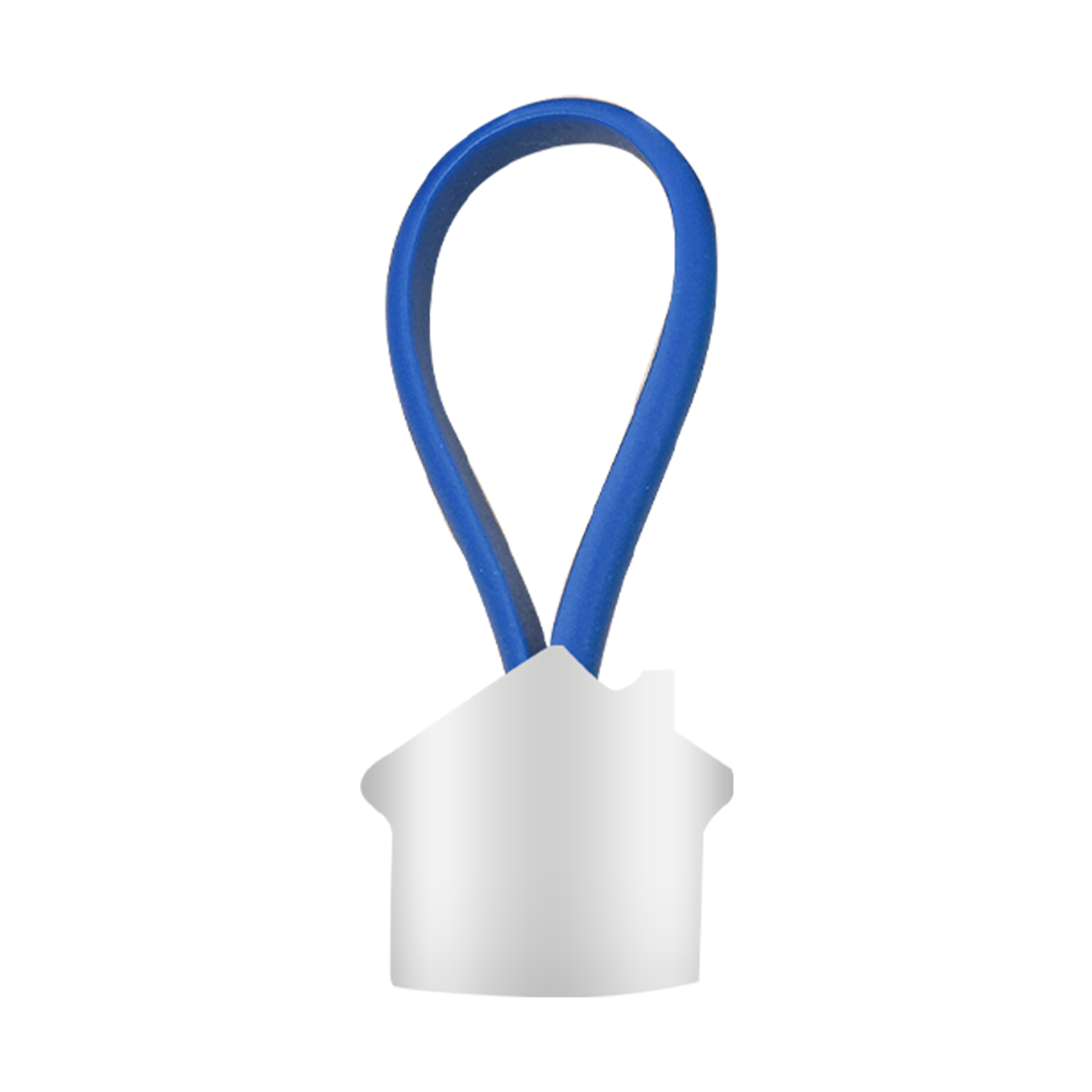 Big House Keychain 6