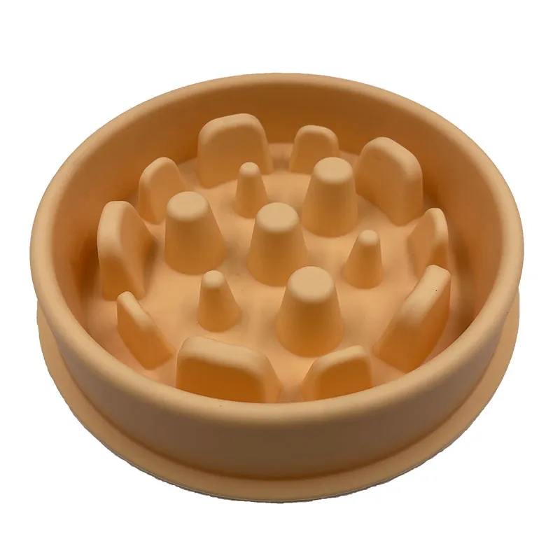 Slow Feeder Bowl 4