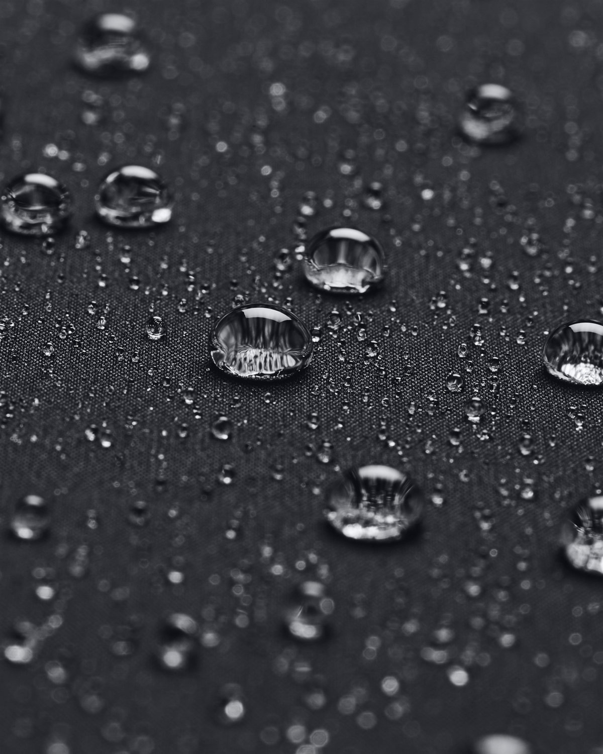 Ladies' ColdGear Infrared Shield 2 0 Hooded Jacket