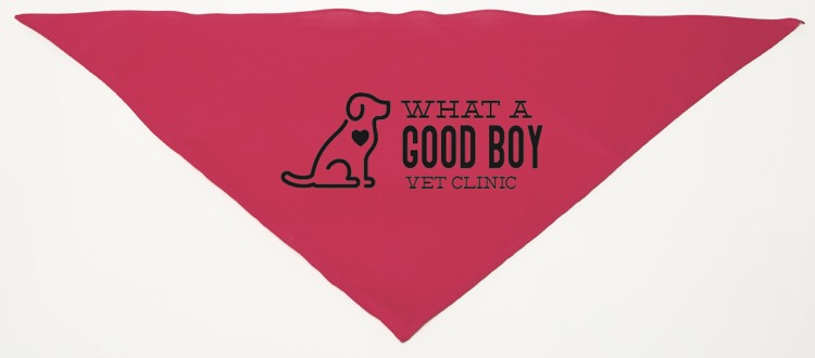 Personalized Large Hot Pink Triangle Pet Bandana
