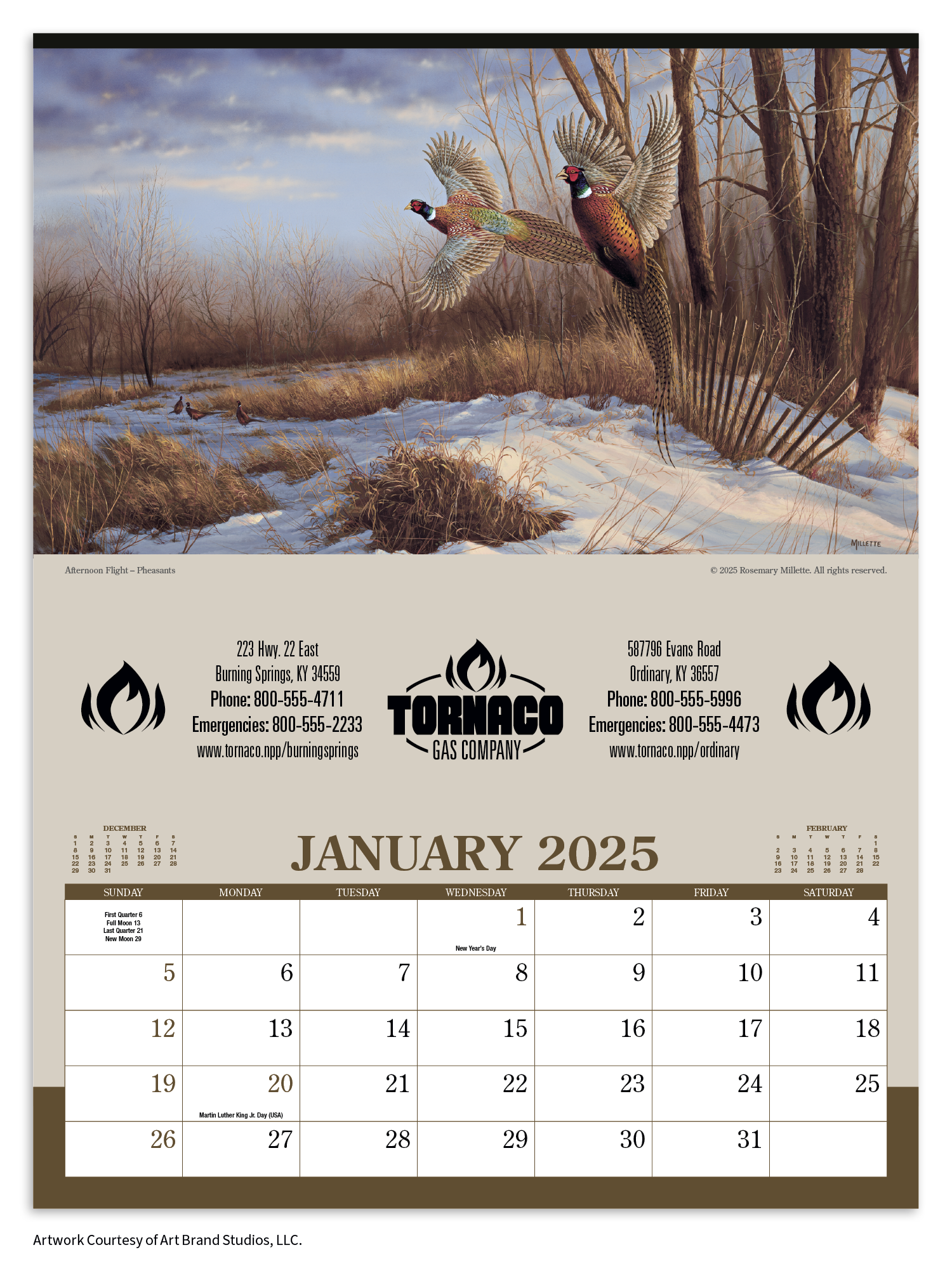 Triumph® Calendars Wildlife Art Calendar 12