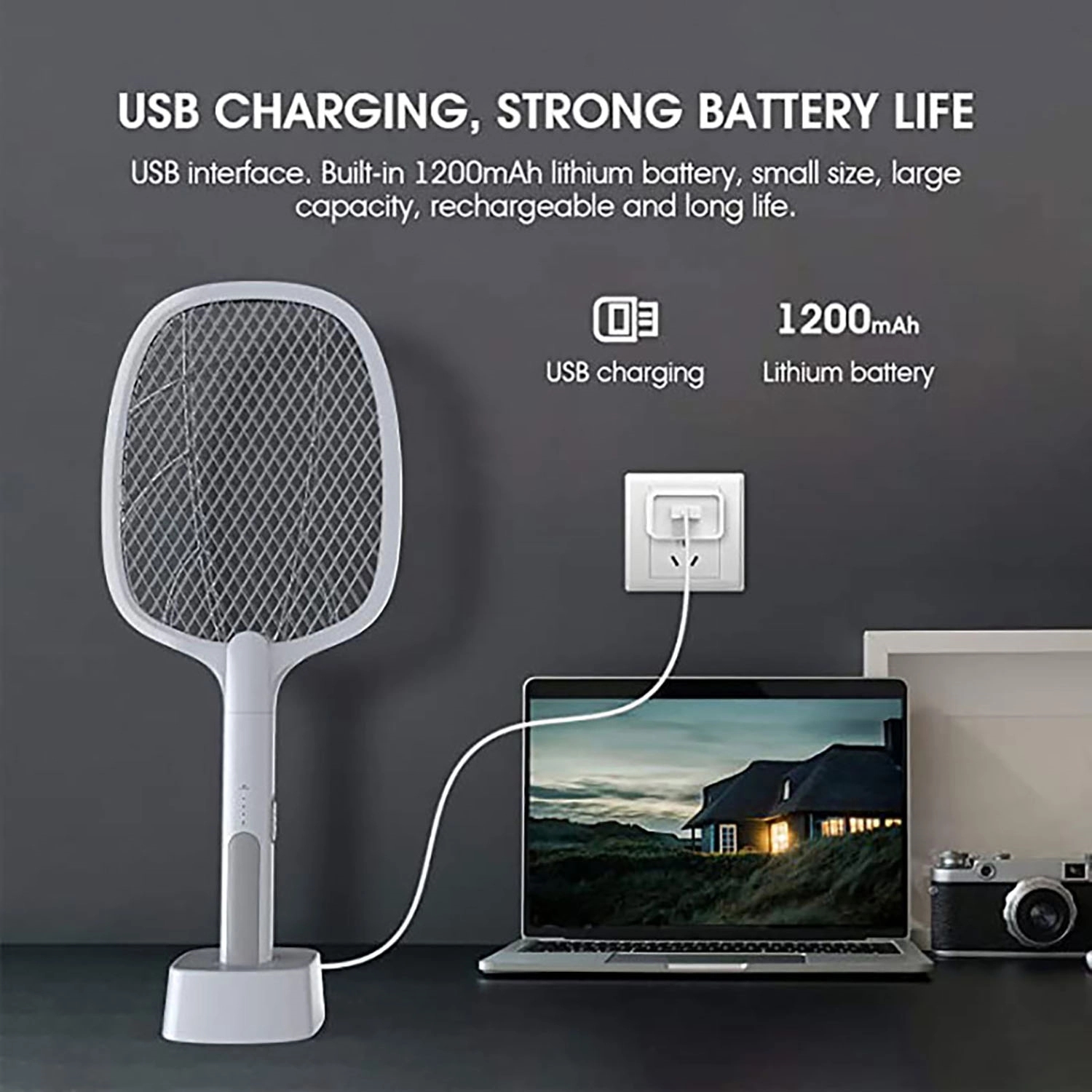 Mosquito Swatter 2