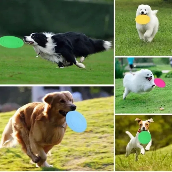 Outdoor Fetch Play Durable Flying Disc Dog Toy 6