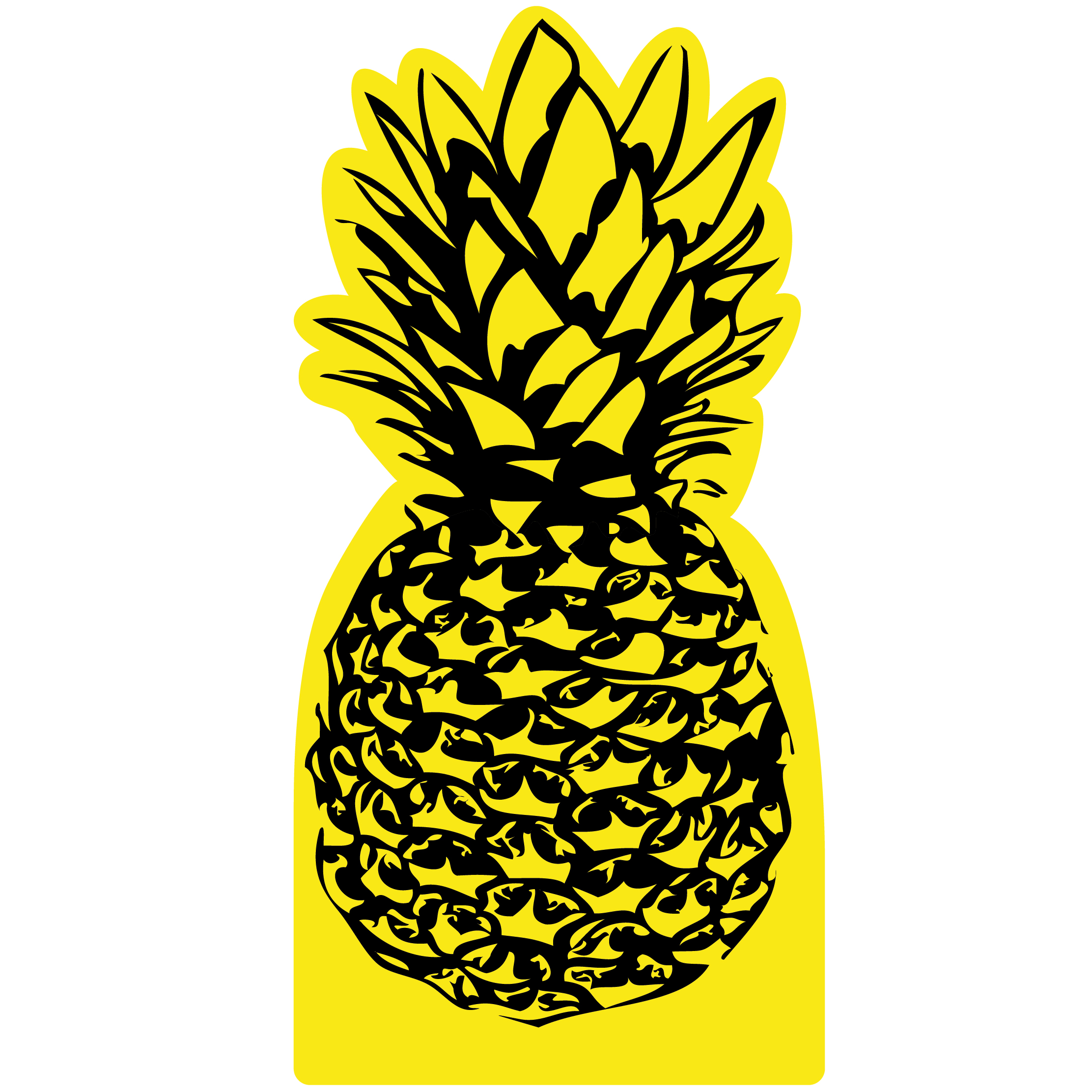 Pineapple Mitt 16