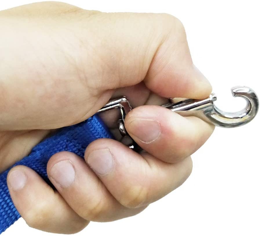 Nylon Dog Leash 1