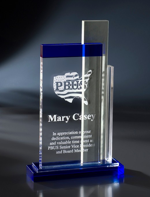 Artistic Expressions Crystal LAX Award 2