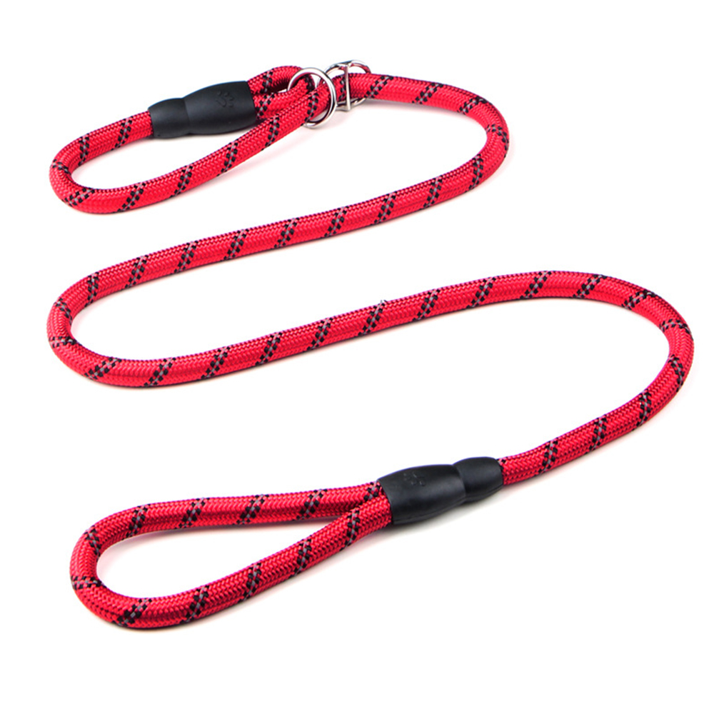 Pet Leash 1