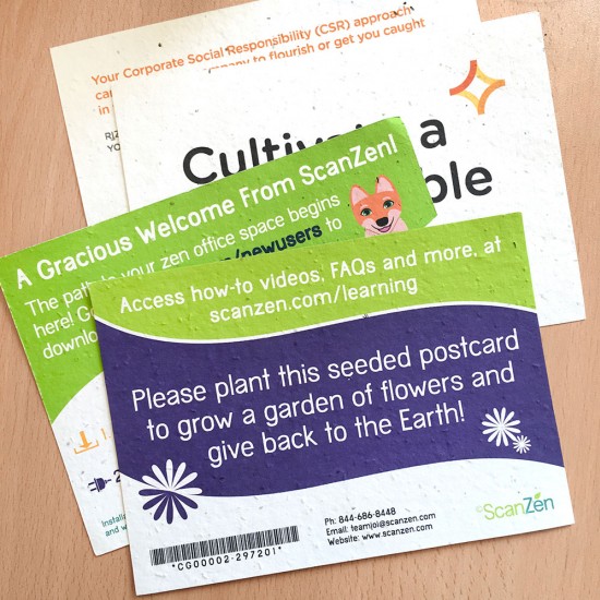 Double-Sided Large Seed Paper Panel Cards 5