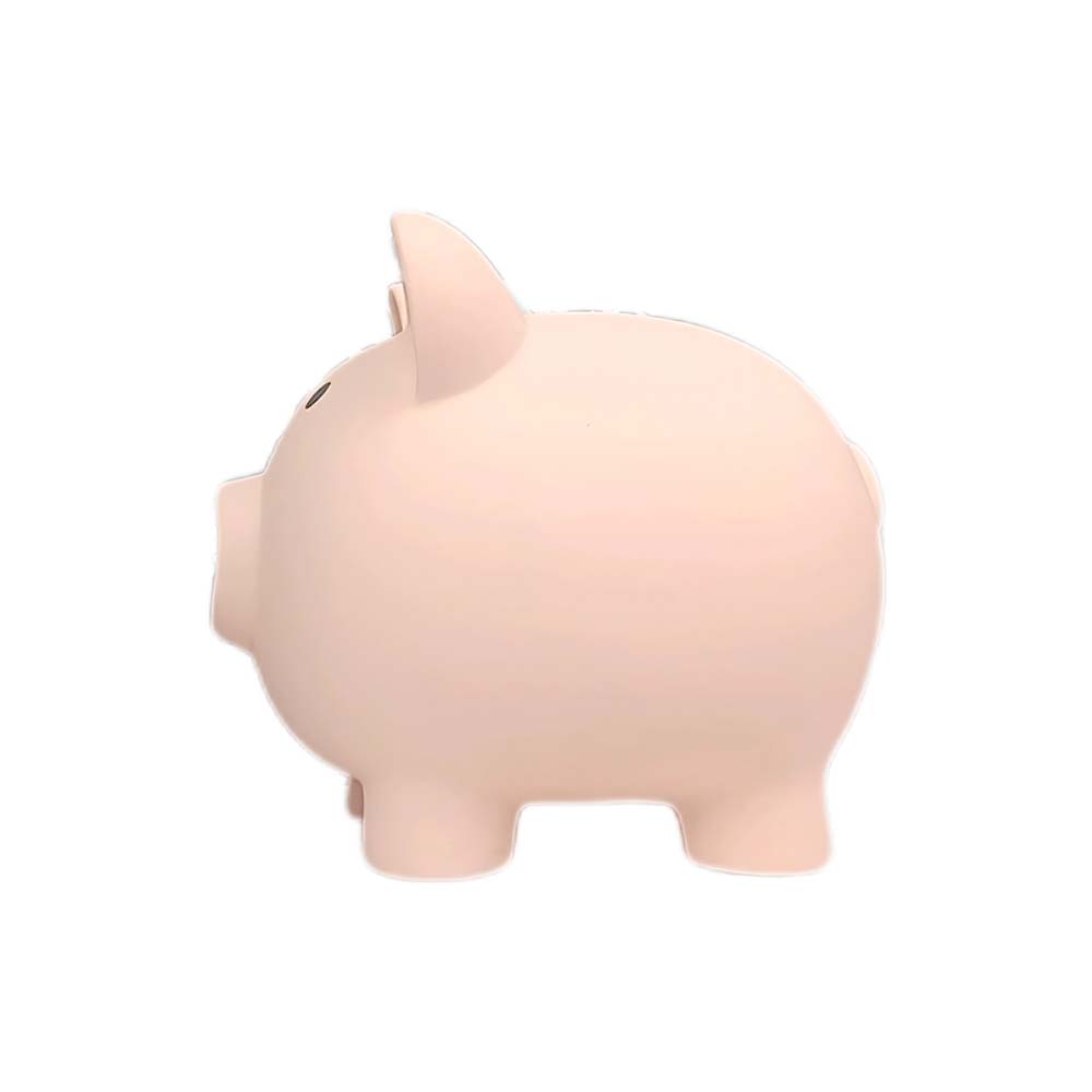 Unbreakable Plastic Money Piggy Bank 4