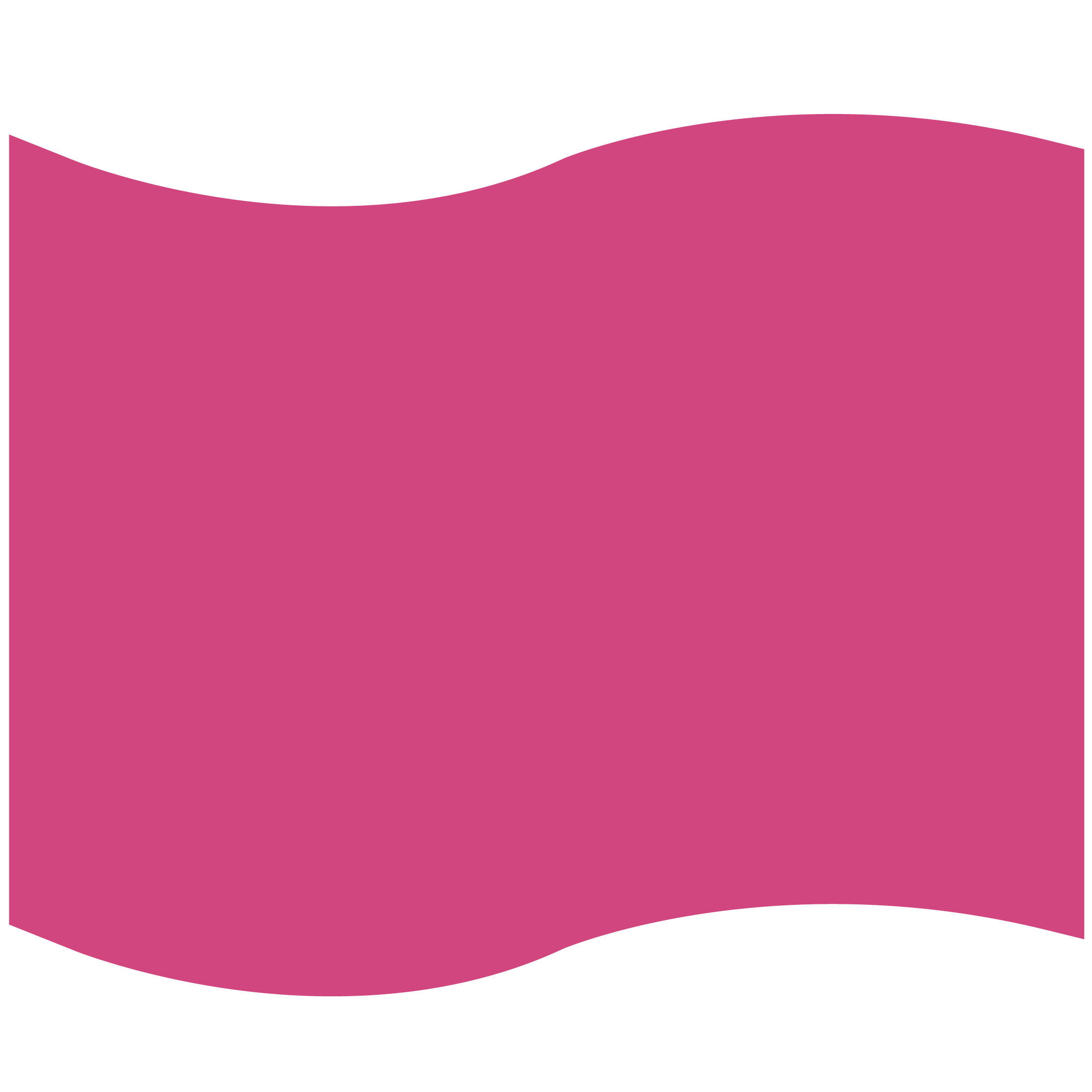 Foam Flag Mitt 10
