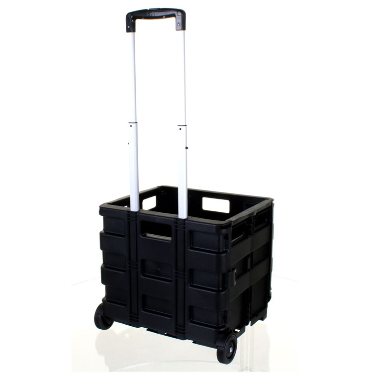Folding Cart 2